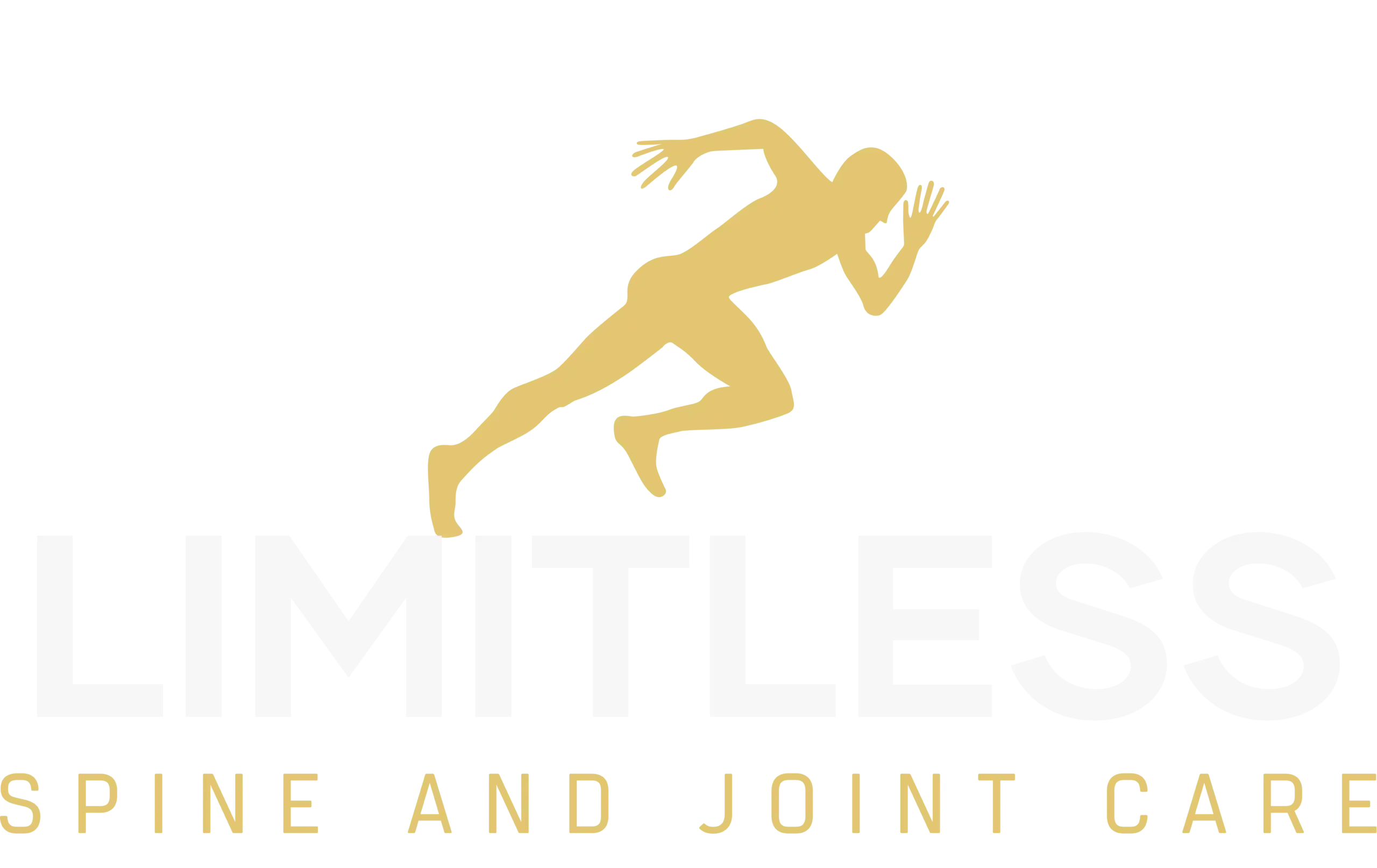 Limitless Spine and Joint Care logo